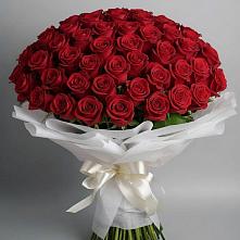 Букет 101 Красная роза Блэк Мэджик в Жостово