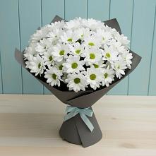 Букет цветов из:  Хризантемы #REPLACE_PRED# Жостово