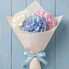 Букет цветов из:  Гортензия в Жостово