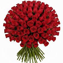 Букет Красные розы Чери Лав в Жостово
