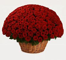 Премиум букет из: Розы в Жостово